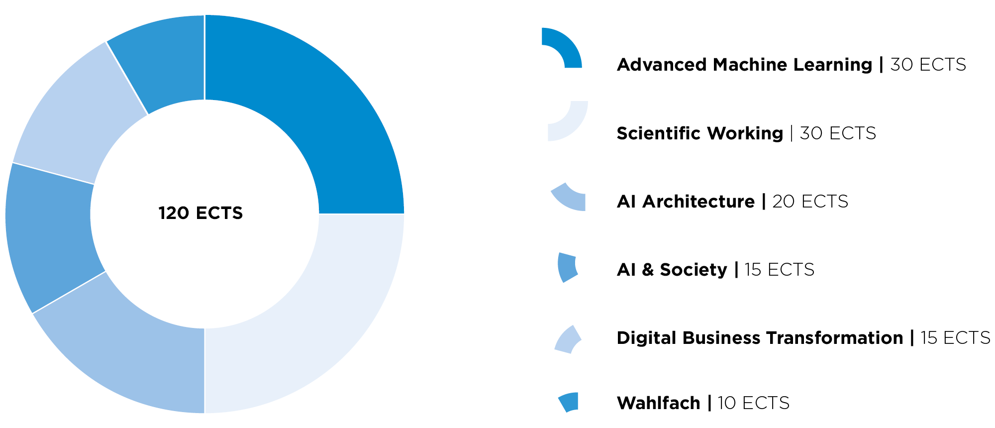 Grafik des Studienplans Data Intelligence