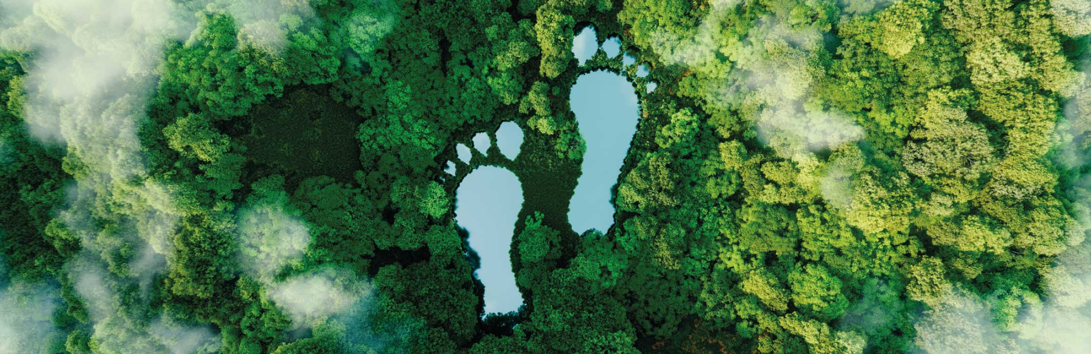 MMS Footprint