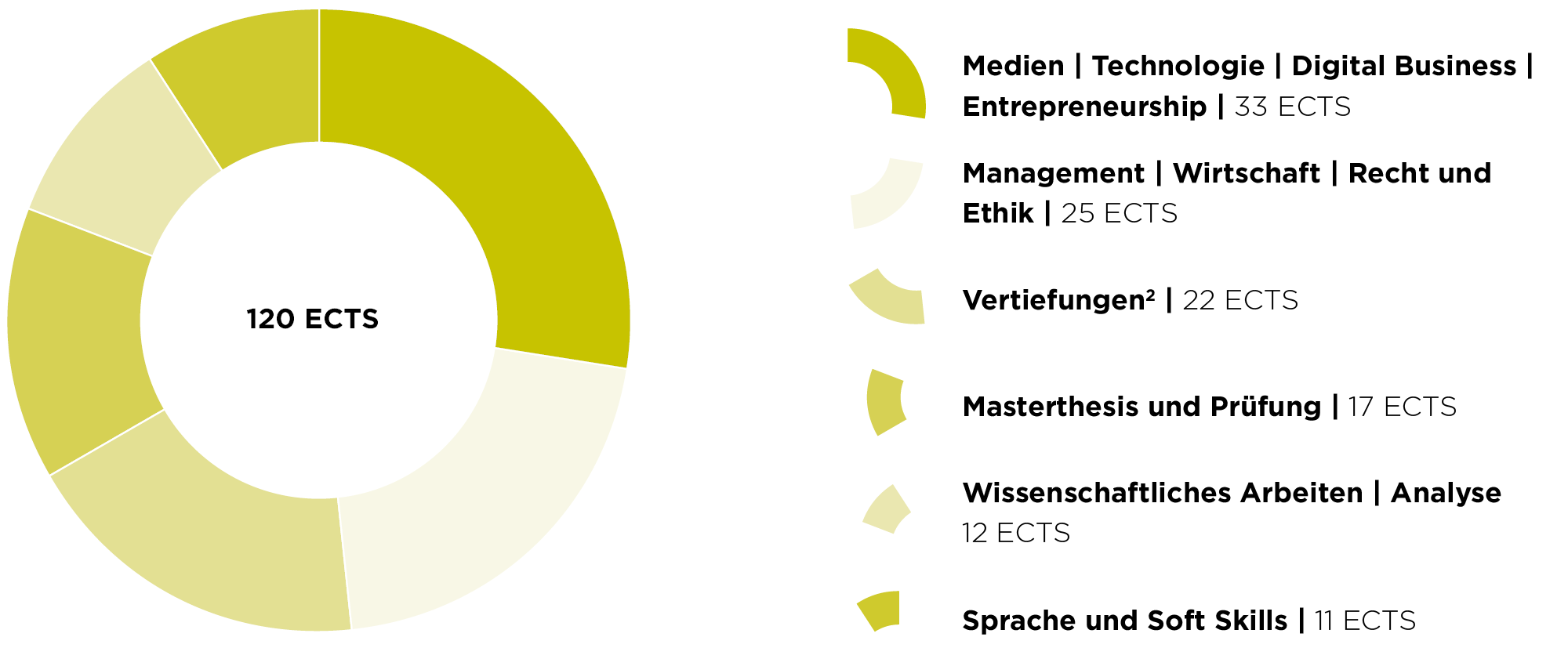 Grafik Studieninhalte Digital Media Management