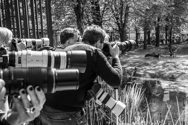 Tiergarten-Schönbrunn-BTS_cGregor-Schwarzacher.jpg