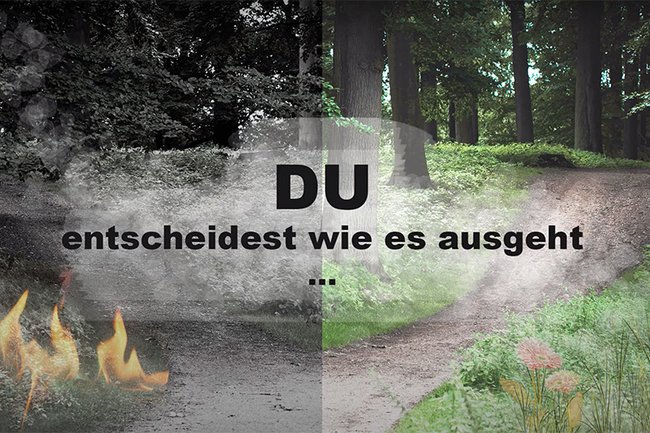 Auf der linken Seite des Bildes brennt der Wald, auf der rechten Seite ist alles grün. Dazwischen steht: "Du entscheidest wie es ausgeht"