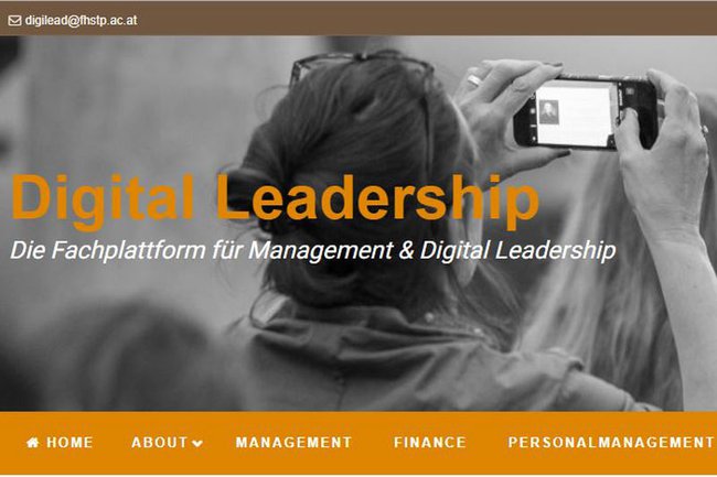 Screenshot Blog „Digital Leadership“