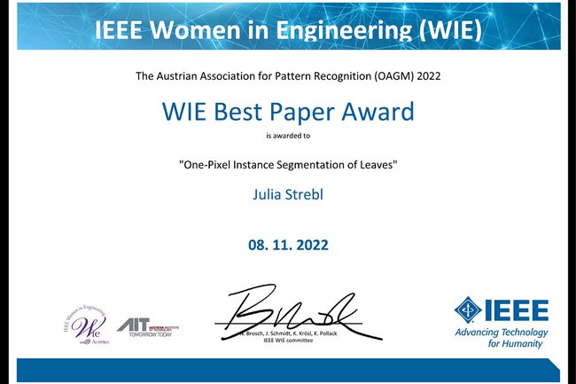 WIE Award 2022 geht an ICMT-Researcherin