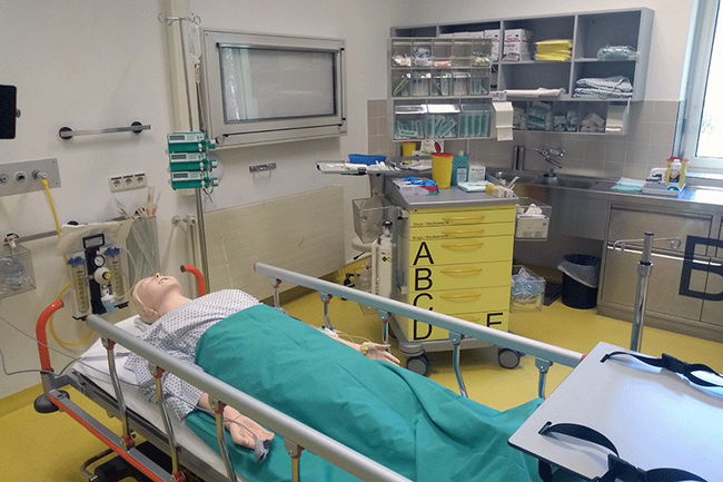 SimCampus_1.gif