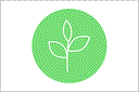 Sustainable Development Award – die Gewinner*innen