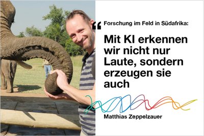 Wie KI die Sprache der Elefanten entschlüsselt [Podcast]
