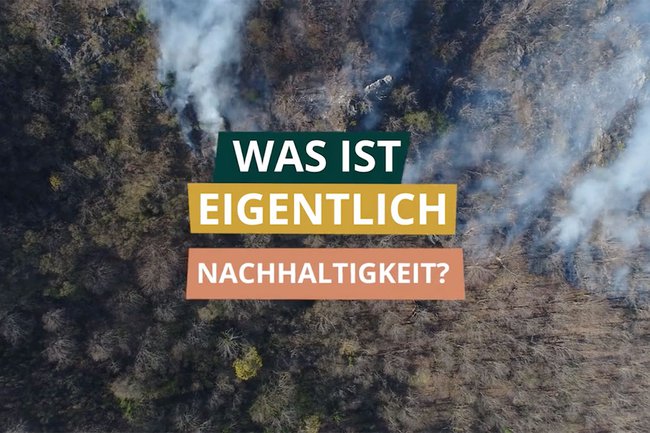 Nachhaltigkeit und Kapitalmärkte