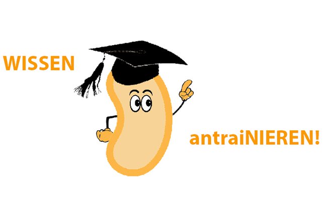 Logo "Wissen antraiNIEREN"