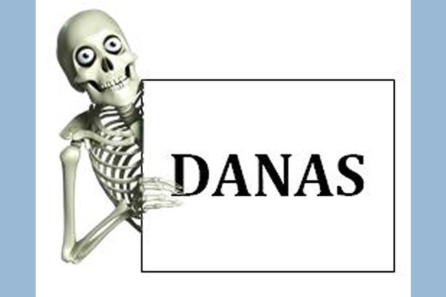 Logo "DANAS"