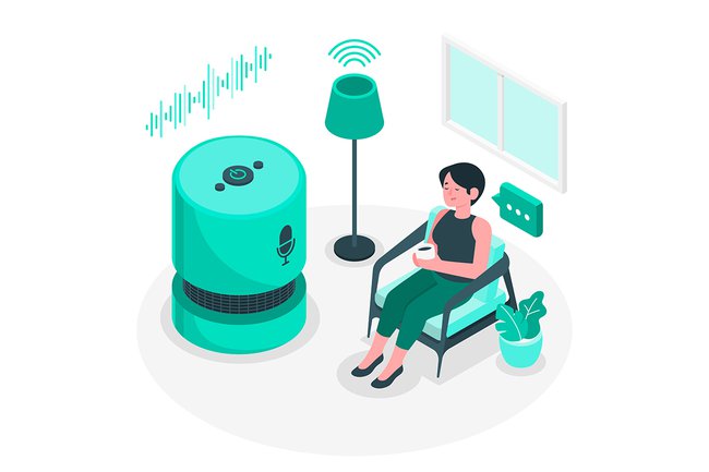 VAP – Voice Assistant Patient