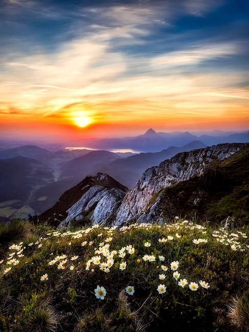 austria-kitsch.jpg