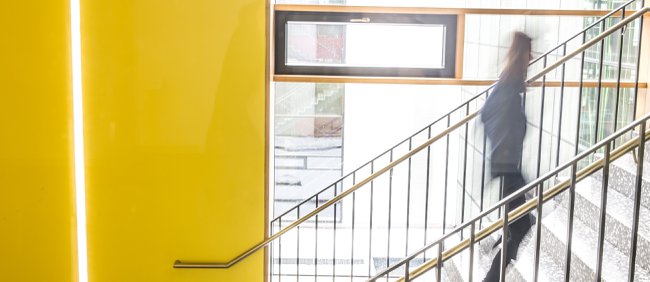 Your career at St. Pölten UAS